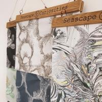 Seascape Curiosities