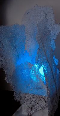 5281C9D00631B0D314A3702550D575524B9.jpg